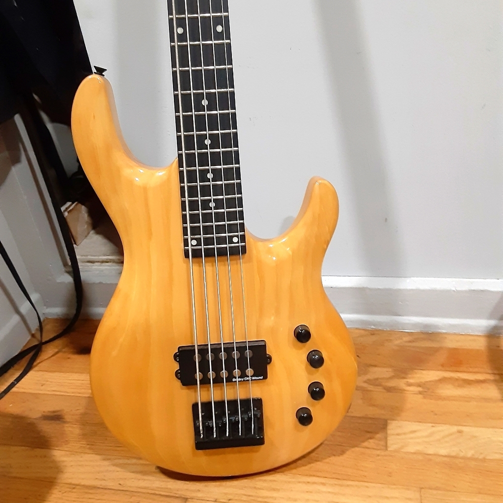 New 5 string bass guitar